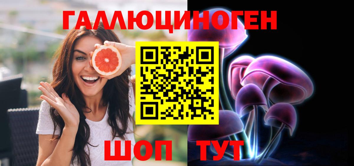 Бердск  Галлюциногенные грибы MAGIC MUSHROOMS  Вход с VPN 